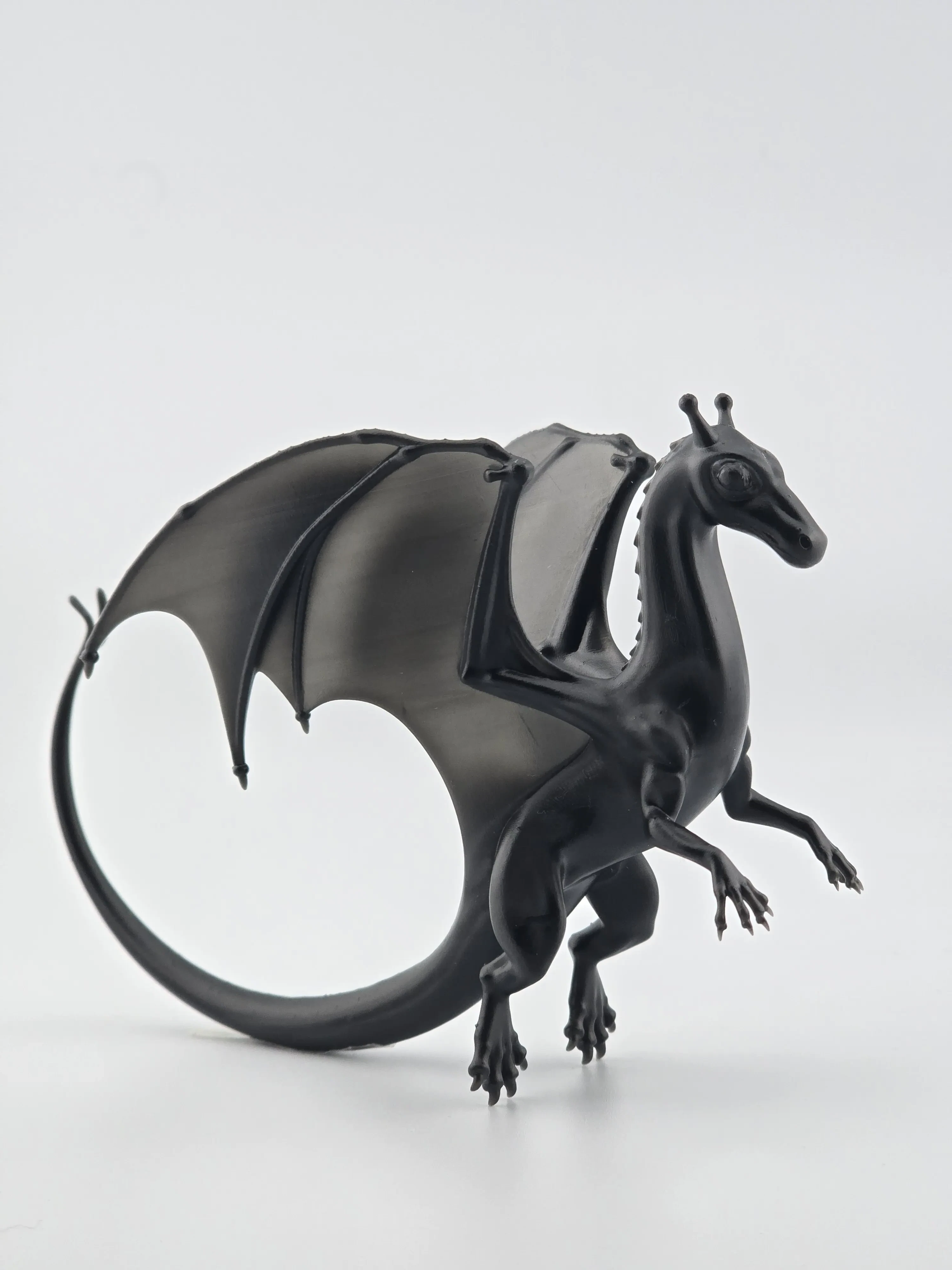 Pern Style Dragons – Image 2